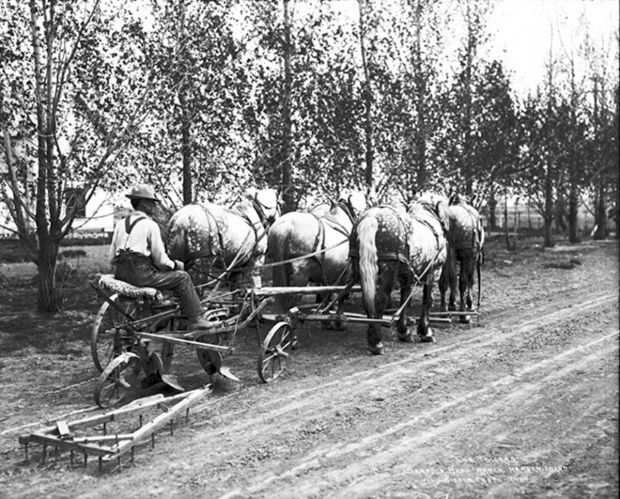 Ready to plow